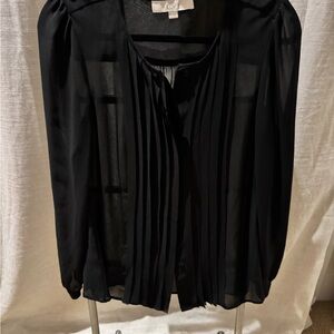 Loft Sheer Button Down Pleated Blouse